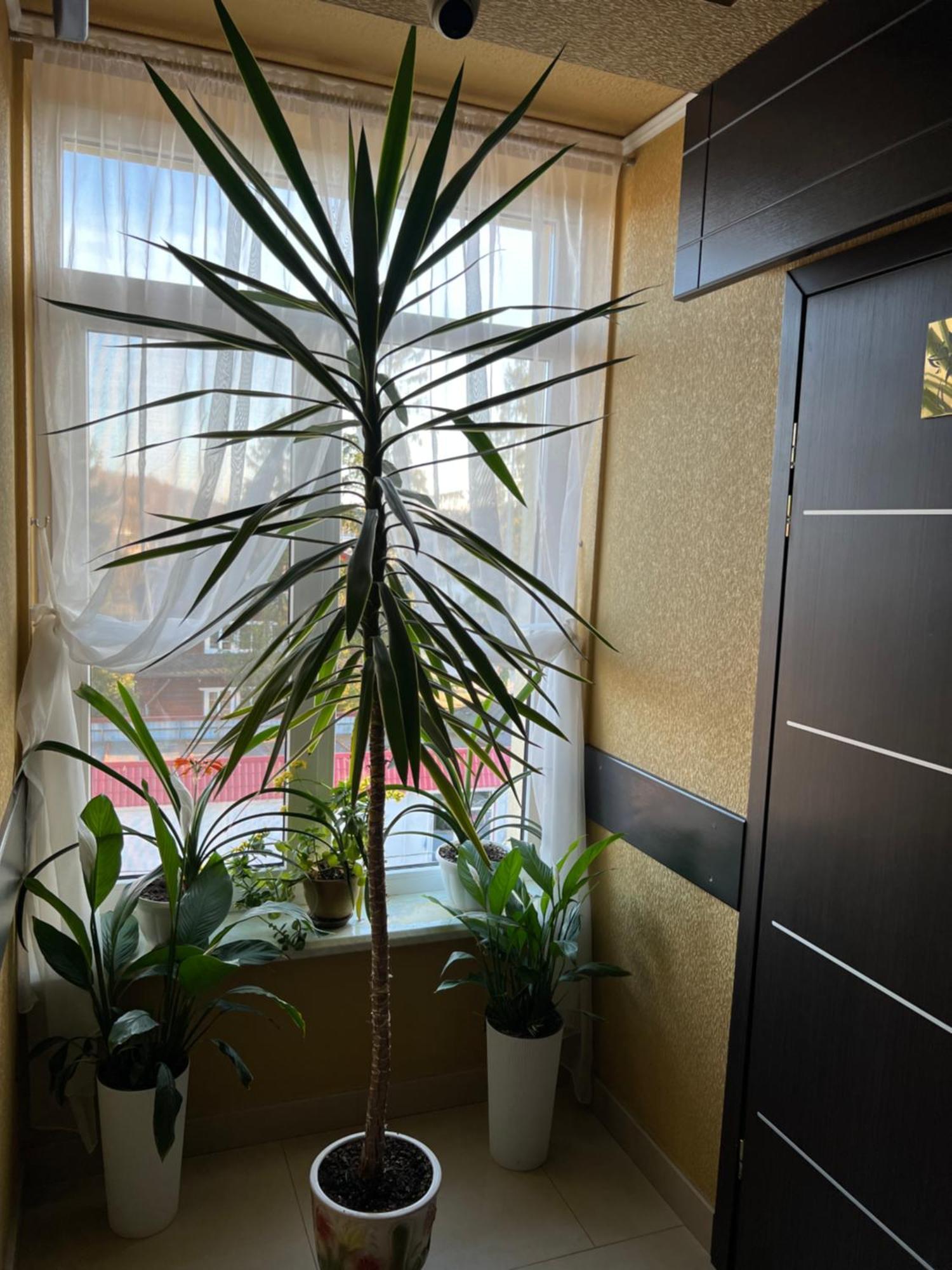 Готель Парк Morshyn Buitenkant foto